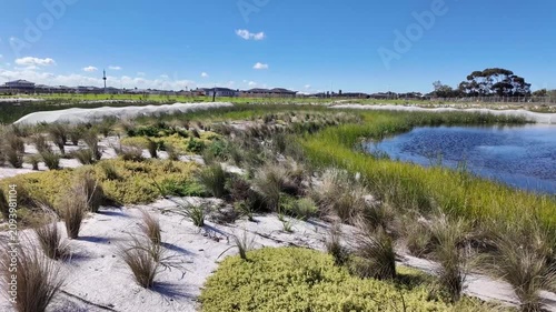 Native grasses and plantings surround a constructed wetland pond with erosion control matting along the banks in a new residential estate in Tarneit, Melbourne Australia
