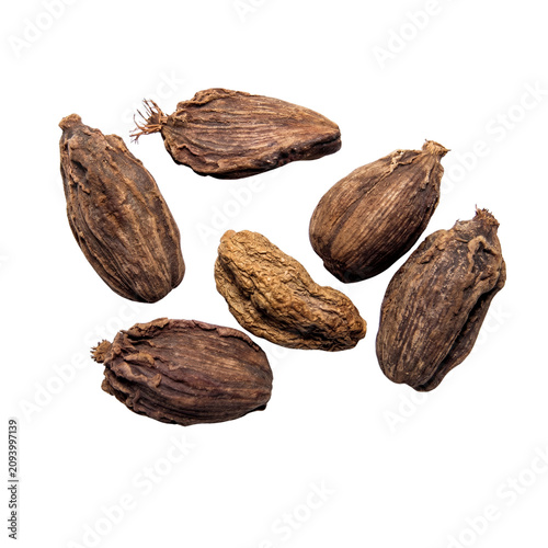 dried cacao pods on white background