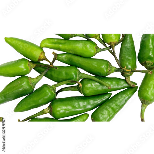 Green jalapeno peppers on stem