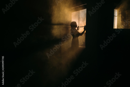 Woman Standing by Window During Sunset