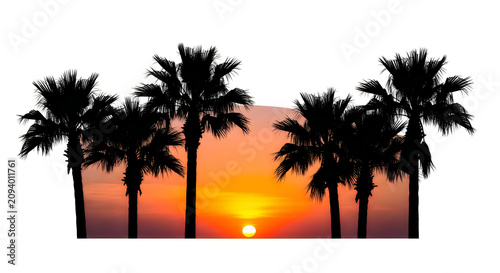 Silhouette palm trees at sunset with warm sky