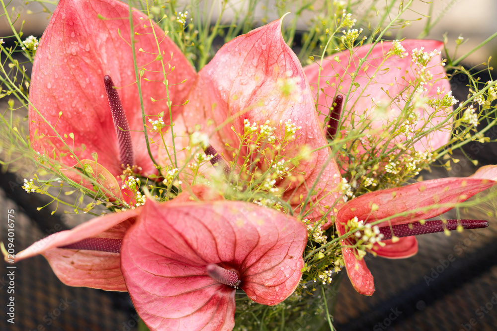 Obraz premium Elegant floral arrangement featuring pink anthurium flowers and delicate greenery in a glass vase placed on a black metal patio table.