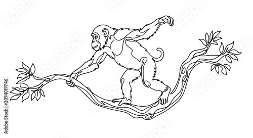 Photography Monkey swinging on a tree branch, line art illustration, jungle animal
