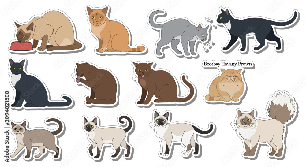 Obraz premium Flat vector sticker set of diverse cat breeds and poses