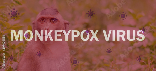Foto Monkeypox outbreak concept