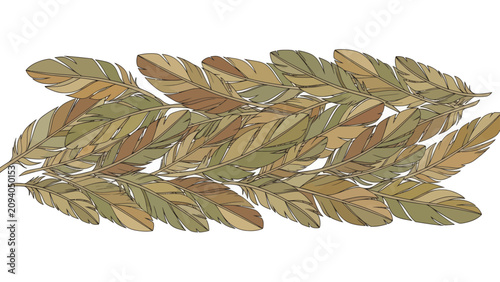A horizontal row of various-sized feathers in earthy tones