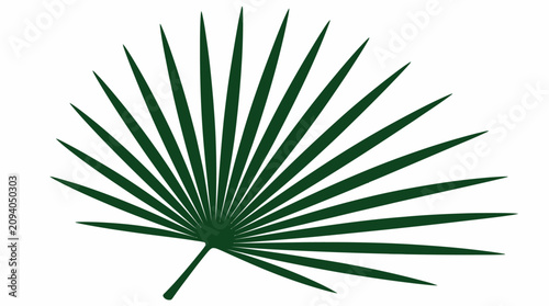 Obraz na plátně Large green palm frond fan leaf isolated.