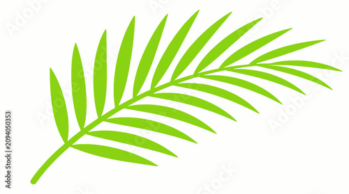 Schilderij op canvas Single green tropical palm leaf frond on white background.