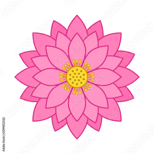 pink flower isolated on white