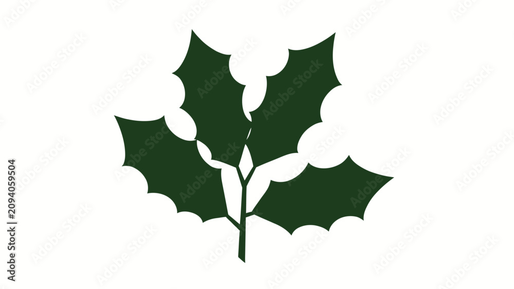 Fototapeta premium A dark green holly leaf illustration on a white background for seasonal decoration purposes