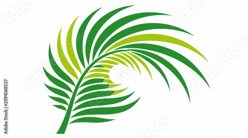 Foto Green tropical palm frond leaf in swirl shape.