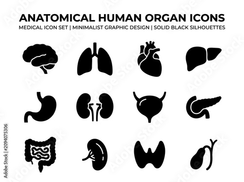 Minimalist human organ icons set in solid black silhouettes for medical design
