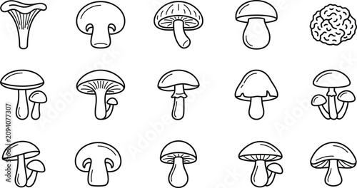 Foto Edible mushroom and forest fungi line art icon set featuring chanterelle champig