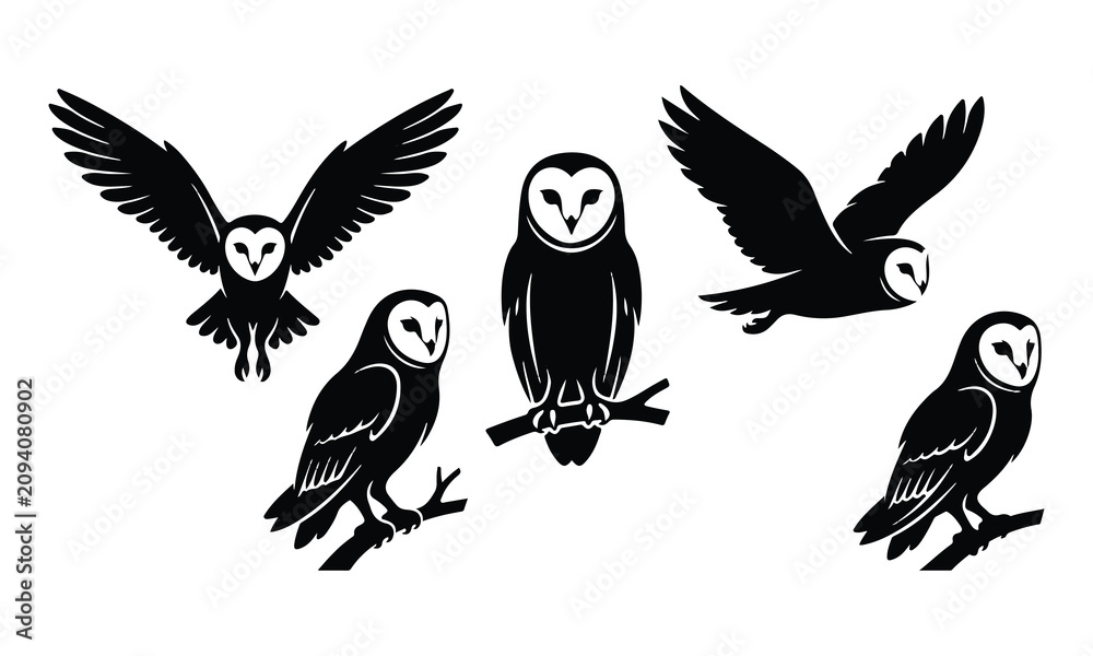 Fototapeta premium Barn owl collection black and white silhouettes in various poses