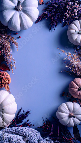 Organic Halloween Flat Lay Background with Natural Autumn Harvest Elements