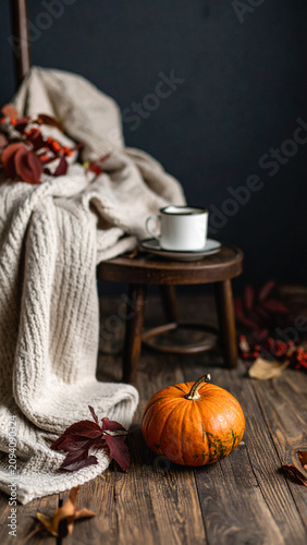 Organic Halloween Flat Lay Background with Natural Autumn Harvest Elements