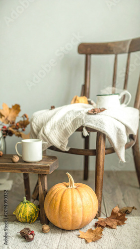Organic Halloween Flat Lay Background with Natural Autumn Harvest Elements
