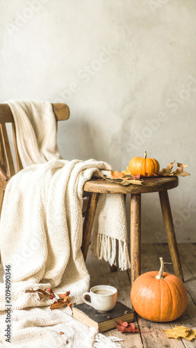 Organic Halloween Flat Lay Background with Natural Autumn Harvest Elements