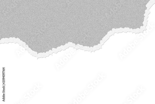 Torn paper edge with textured surface against clean white space for copy Isolated on transparent background