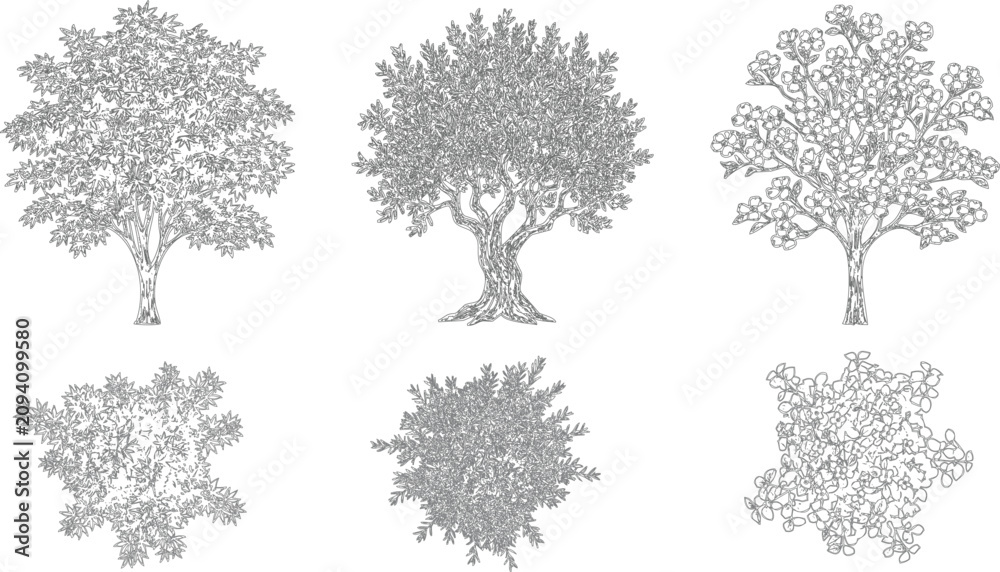 Fototapeta premium Set of detailed tree sketches. Hand drawn botanical illustrations. Collection of nature plant icons.