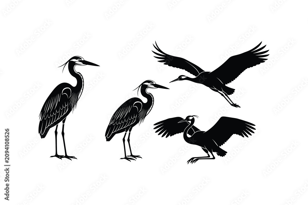 Obraz premium Black Heron Bird Silhouette Vector Set on White Background