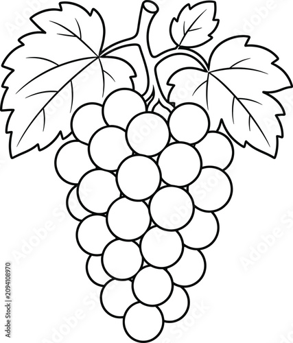 Grape bunch coloring book page for kids and adults detailed line art