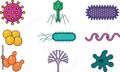 Obraz na plátně Microscopic virus and bacteria collection vector illustration featuring coronavirus bacillus bacteriophage cell structures and pathogens isolated on white background