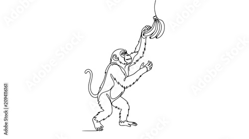 Photography Chimpanzee reaching for banana bunch, continuous line drawing, minimalist art