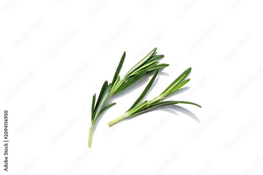 Fototapeta premium Fresh rosemary on a white background