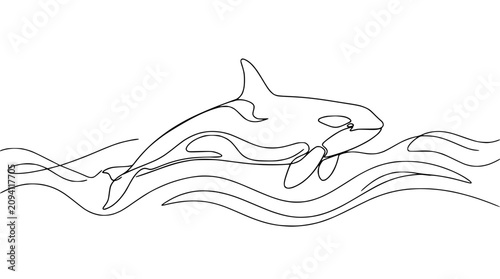 Schilderij op canvas Continuous line drawing of an orca whale breaching in stylized ocean waves, minimalist art
