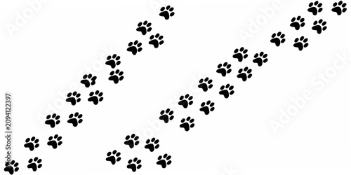Photos Black Paw Prints Silhouette On White Background Animal Track Pattern