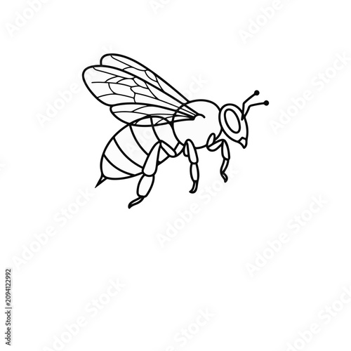 Detailed mosquito illustration on white background. Insect vector drawing for medical or scientific use. High-resolution pest graphic for health ca...