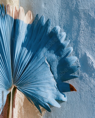 A bright turquoise palm frond with deep ridges and a leathery sheen against a textured plaster wall for tropical packaging and graphic design