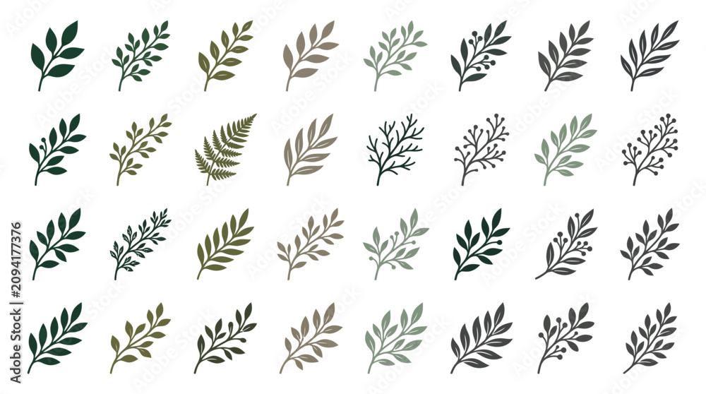 Fototapeta premium A graphic illustration of various leaf types and shapes in different colors and shades.