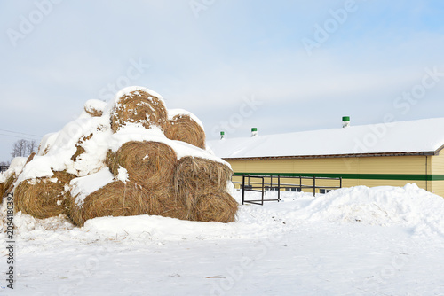 Photos Snow Covered Hay Bale Stack at Winter Equestrian Farm