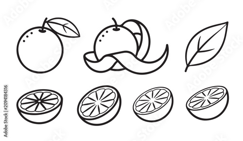Foto Orange fruit outline illustrations featuring whole citrus segments and peeled skin design