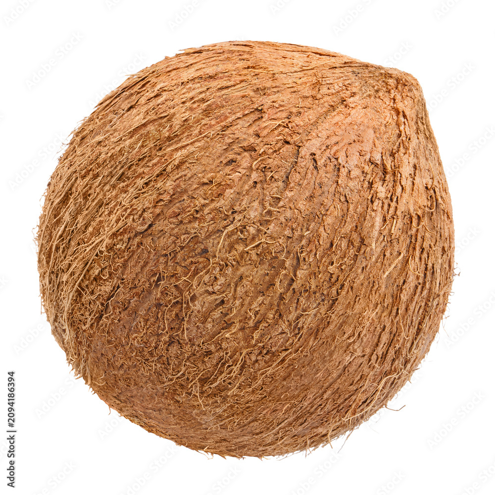 Obraz premium Whole brown coconut with fibrous husk texture, isolated on transparent cutout background