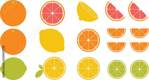 Quadro su tela Citrus fruit vector mega set featuring whole fruits half slices cross sections a