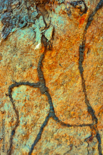 Vászonkép termite trail on a tree trunk in Western Queensland