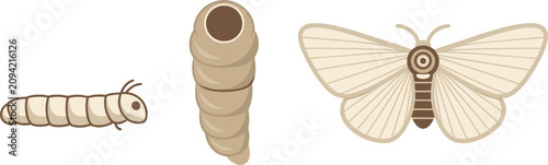 Canvastavla Silkworm life cycle vector set featuring caterpillar larva cocoon pupa stage and