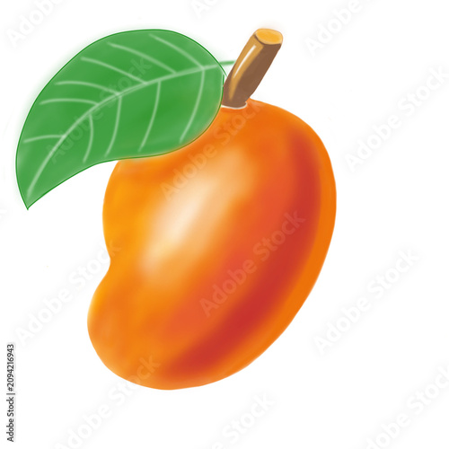 Tableau sur toile Mango isolated on white backg round, full de pth of field