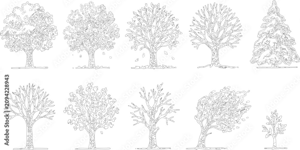 Fototapeta premium Ten Line Drawings of Deciduous and Coniferous Trees for Botanical and Artistic Reference