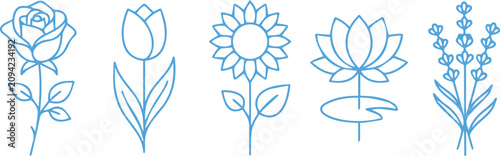 Obraz na plátně Set of five hand drawn blue floral icons including rose tulip sunflower lotus an