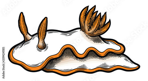 Bild auf Leinwand Colorful nudibranch illustration with vibrant orange and white details