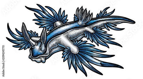 Tableau sur toile Illustration of a Blue Sea Slug with Detailed Wings on White Background