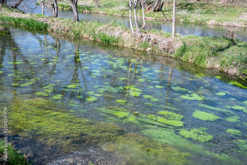 Foto 水面に映る木々と清らかな流れ 大王わさび農場