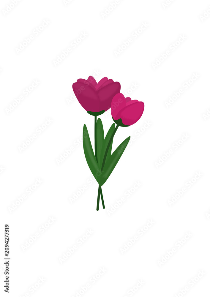 Fototapeta premium Beautiful Flower Stem Vector Set with Purple Daisy and Pink Tulip Bouquet Illustration