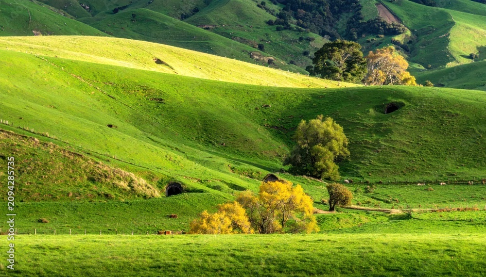 Obraz premium Rolling green hills bathed in sunlight, some with small cave-like structures