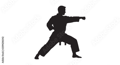 Fényképezés Martial artist silhouette against a white background dynamic pose