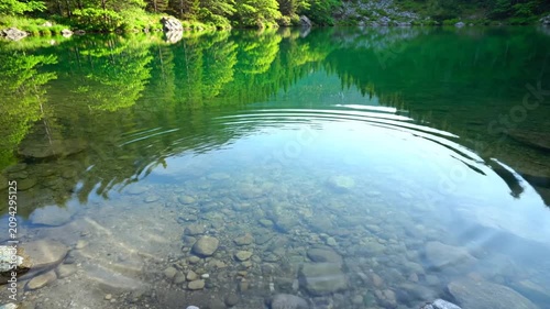 Tranquil Lake Scene in a Nature Collage